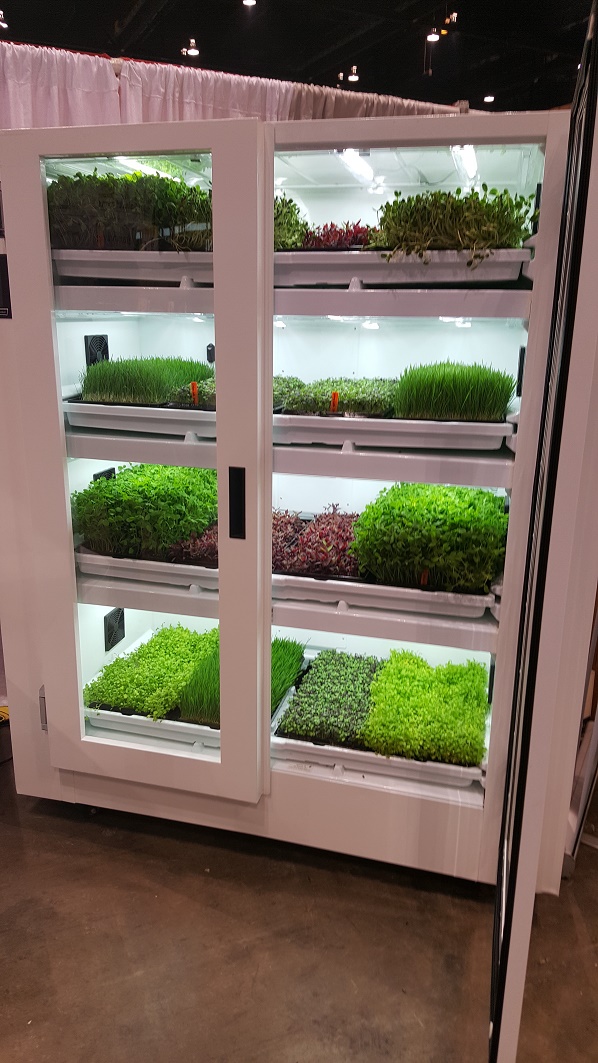 Experiences at the National Restaurant Association Show