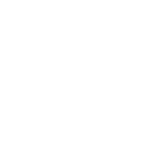 Exclusive Access Icon