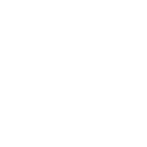 Personalization Icon